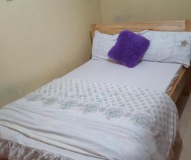 Eddy air bnb