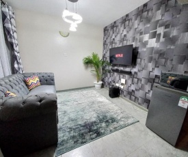 Entire furnished 1 bedroom apartment, Royal suburbs (Roysambu)