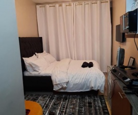 Entire Serviced Apartment
