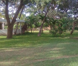 Gibo's Palm Tree Malindi