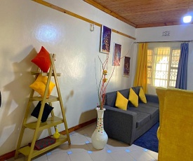 Homely Apartment 1