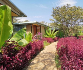 Jambo Mara Safari Lodge