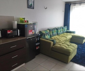 Joysville Deluxe Home