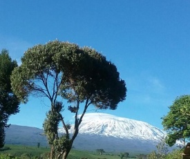 Kilimanjaro Loitokitok Resort