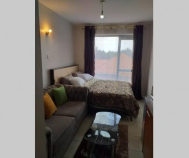 Lovely serviced studio apartment with a rooftop pool