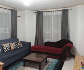 Lovely two bedroom apartment 3 min from Two rivers mall