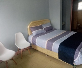 Luxurious and spacious apartment