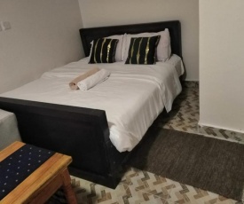 Luxurious Studio Apartment