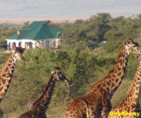 Narasha Guest House - Maasai Mara