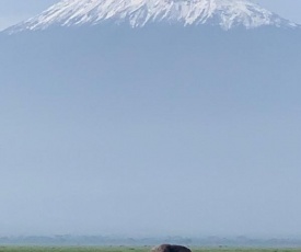 NEW SAFARI ex Nairobi Airport -- 7 days-6 nights Amboseli - Nakuru - Maasai Mara - daily departures