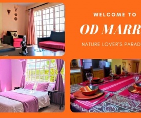 Od Marro Forest Getaway