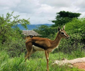 Oldonyo Orok Camp