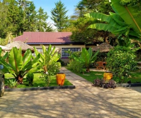 Penguin House