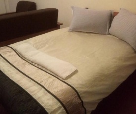 quiet comfortable studio with mature garden view.