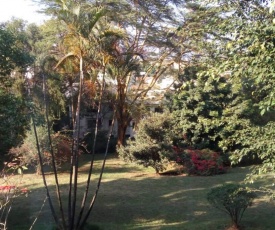Quiet Comfortable Studio with Mature Garden View.