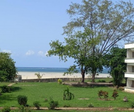 Amazing Ocean View