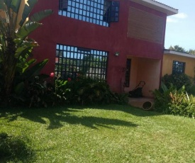 Royal pine cottages