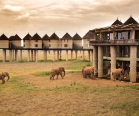 Salt Lick Safari Lodge