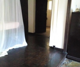 Single room one toilet one bed