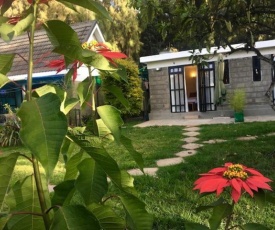 AnMac Studios