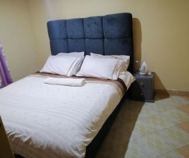Spacious 1-bedroom condo in kahawa wendani