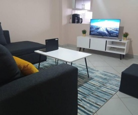 Spacious Furnished 2 bdr Apartment in South B