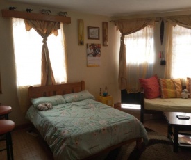 Spacious Studio, Free WiFi, Reliable power and water, Spotless, Washer available, 2mins to mall, 18mins to CBD