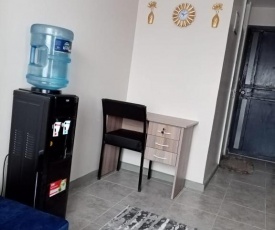 Stylish One Bedroom, AirBnB Apartment - Roysambu