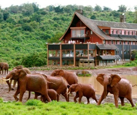 The Ark Lodge