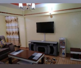 THE PLACE APARTMENT
