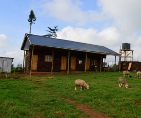 The Wonky House