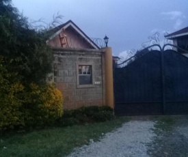 tiny guest studio elgon view