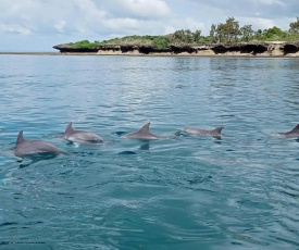 Wasini Raha Snorkeling and Diving