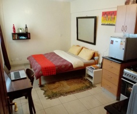 Budget Studio Apartment - Furnished, with Fast Wifi and Netflix