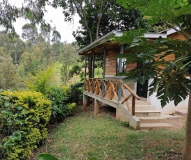 Cheerful 8 Cottages in a Forest at Kihingo Cottages