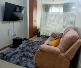 Cozy one bedroom studio apartment near Airport