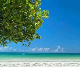 Dolphin House Glau Beach